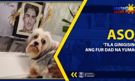 ASO, ‘TILA GINIGISING ANG FUR DAD NA YUMAO