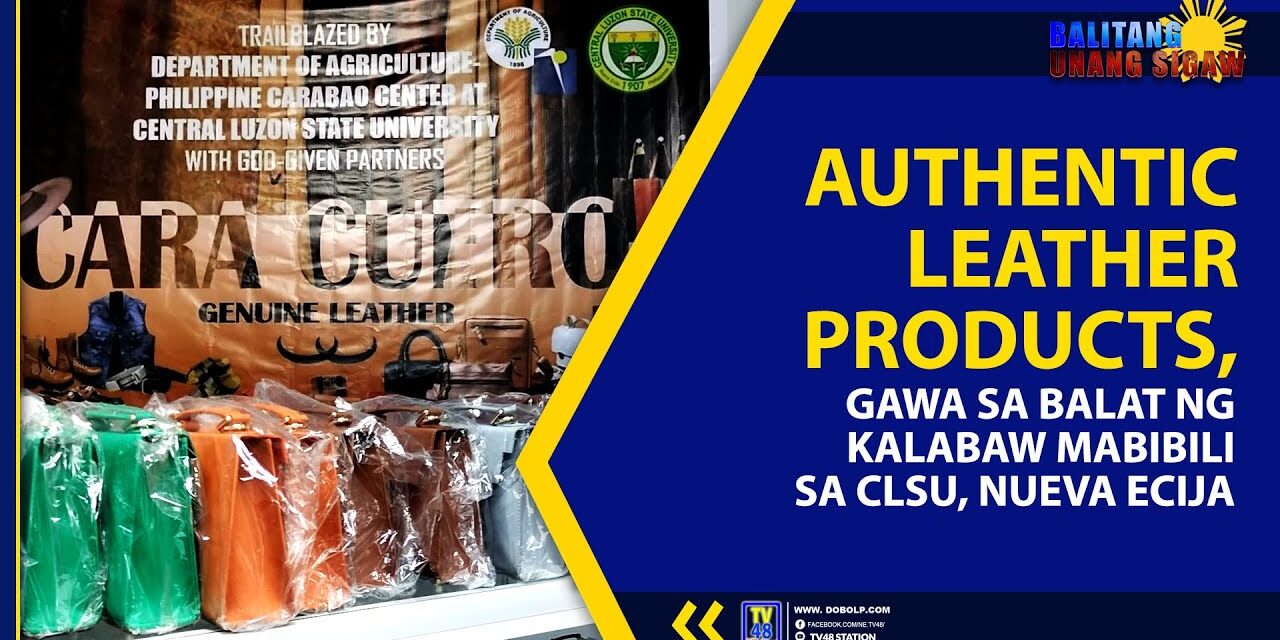 AUTHENTIC LEATHER PRODUCTS, GAWA SA BALAT NG KALABAW MABIBILI SA CLSU, NUEVA ECIJA