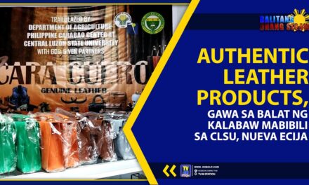 AUTHENTIC LEATHER PRODUCTS, GAWA SA BALAT NG KALABAW MABIBILI SA CLSU, NUEVA ECIJA