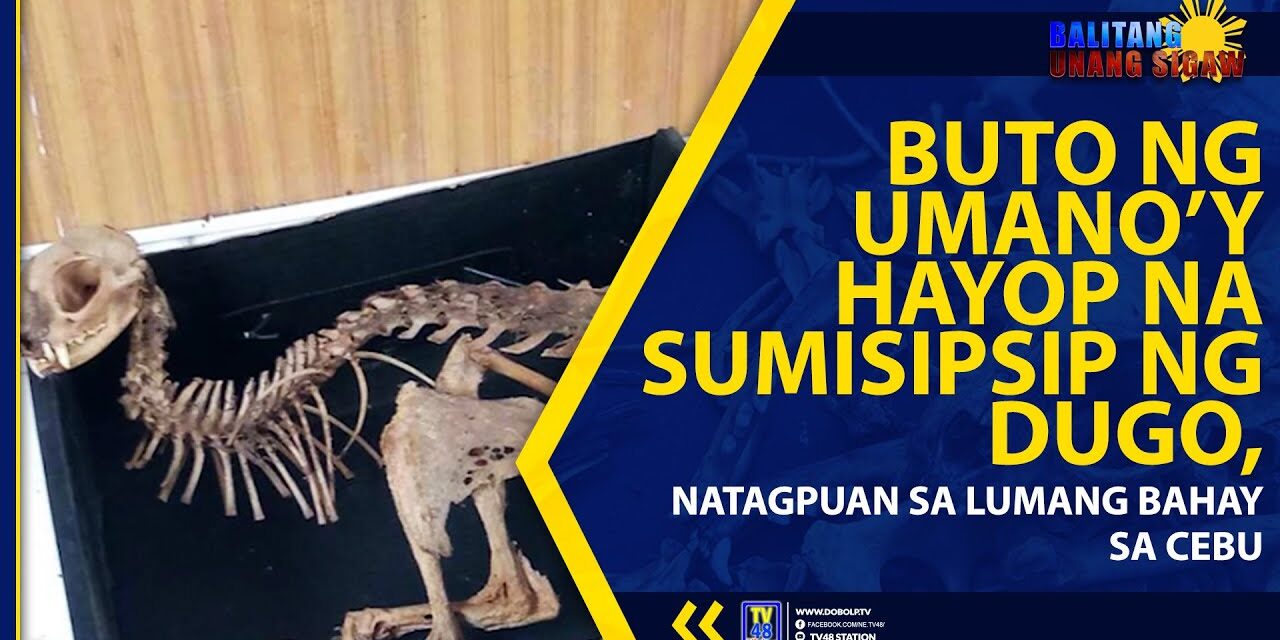 BUTO NG UMANO’Y HAYOP NA SUMISIPSIP NG DUGO, NATAGPUAN SA LUMANG BAHAY SA CEBU