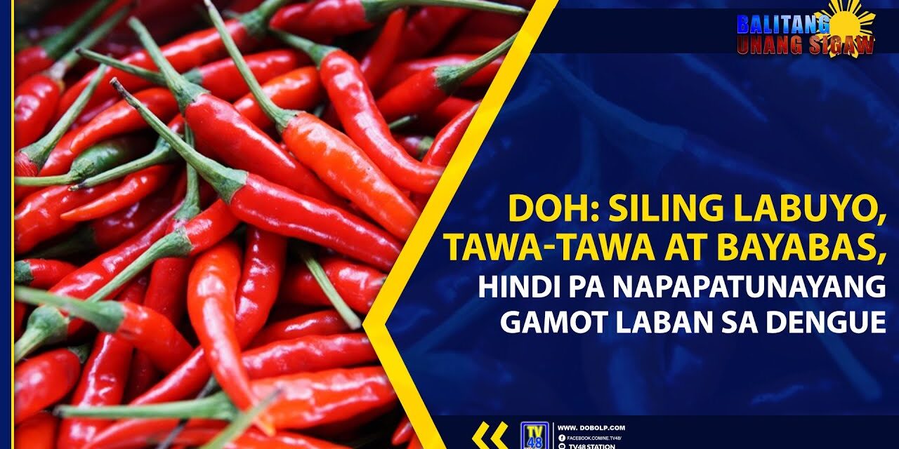 DOH: SILING LABUYO, TAWA-TAWA AT BAYABAS, HINDI PA NAPAPATUNAYANG GAMOT LABAN SA DENGUE