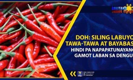 DOH: SILING LABUYO, TAWA-TAWA AT BAYABAS, HINDI PA NAPAPATUNAYANG GAMOT LABAN SA DENGUE