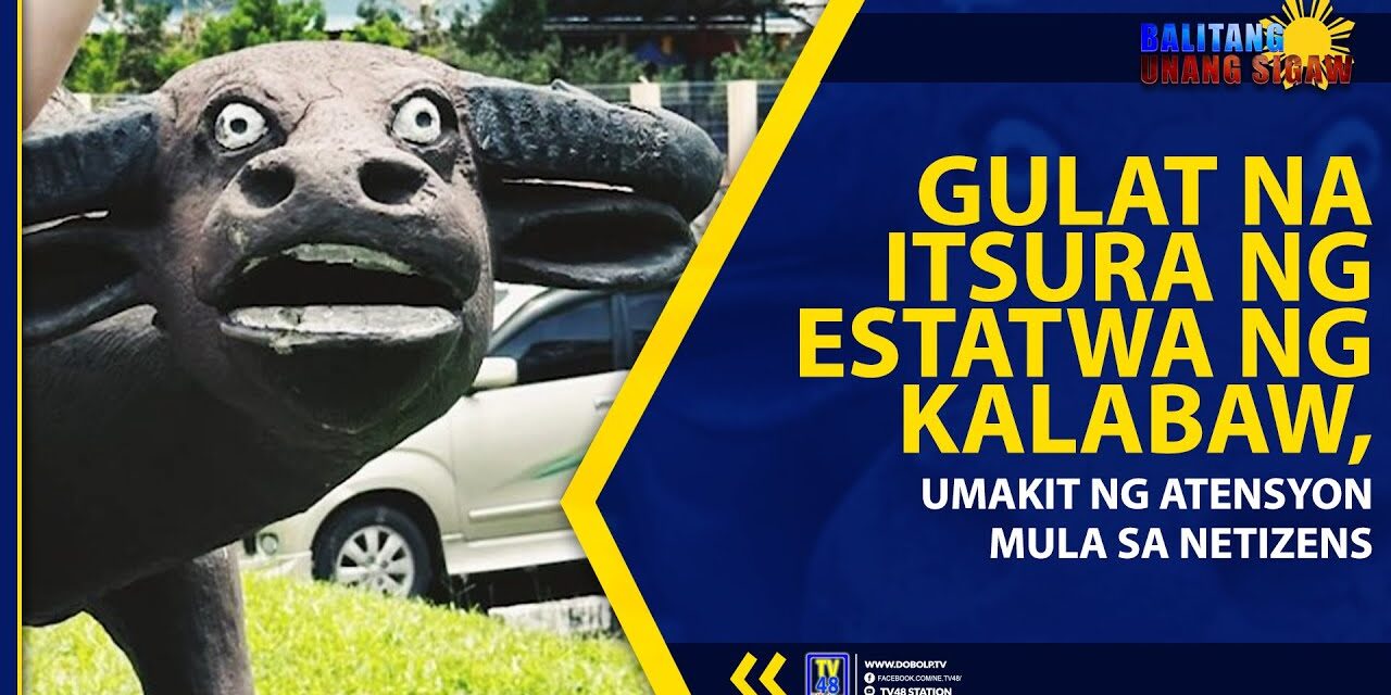 GULAT NA ITSURA NG ESTATWA NG KALABAW, UMAKIT NG ATENSYON MULA SA NETIZENS
