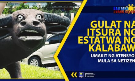 GULAT NA ITSURA NG ESTATWA NG KALABAW, UMAKIT NG ATENSYON MULA SA NETIZENS