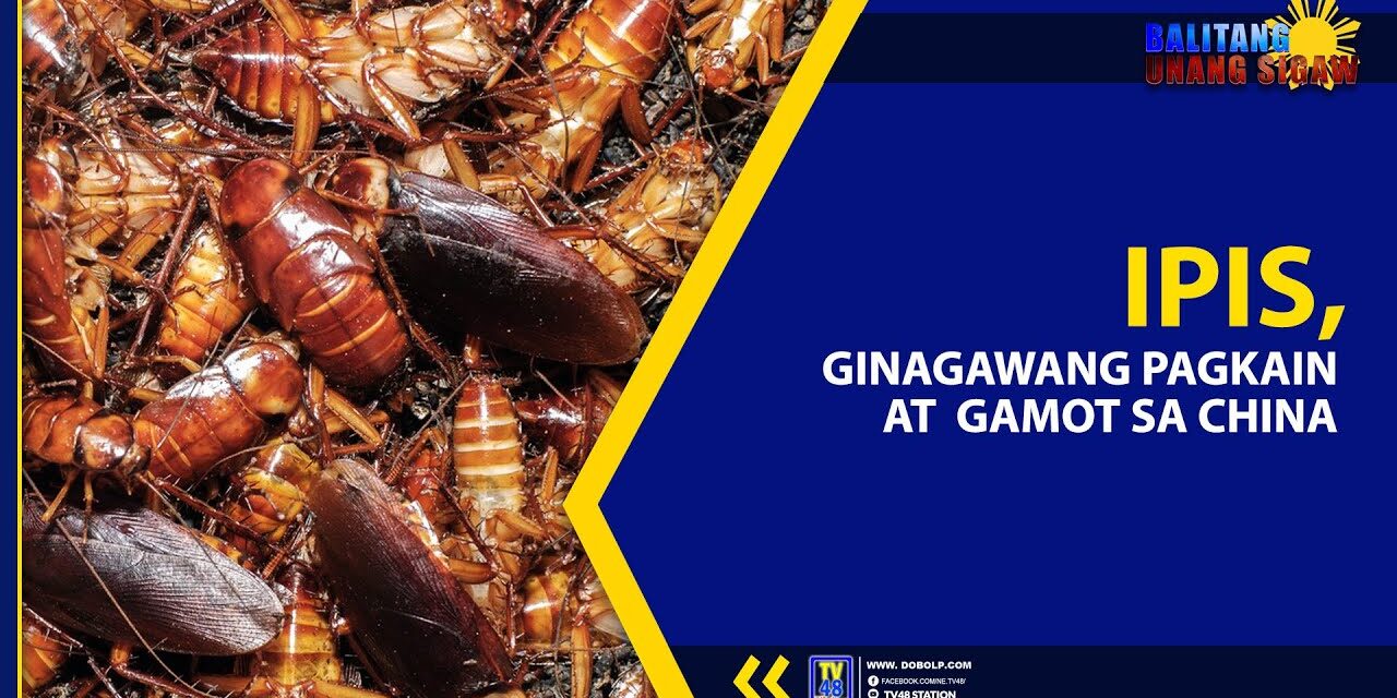 IPIS, GINAGAWANG PAGKAIN AT GAMOT SA CHINA