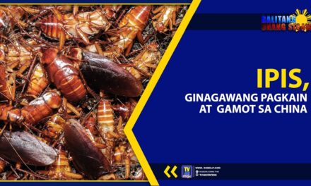 IPIS, GINAGAWANG PAGKAIN AT GAMOT SA CHINA