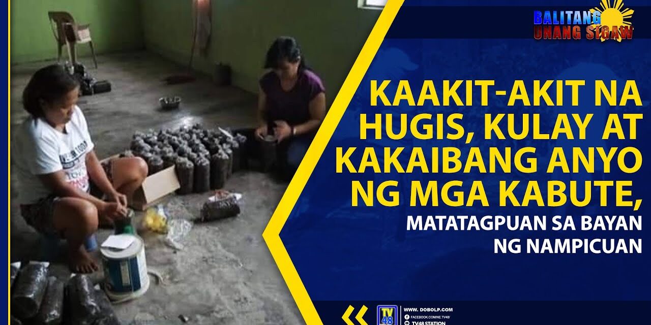 KAAKIT-AKIT NA HUGIS, KULAY AT KAKAIBANG ANYO NG MGA KABUTE, MATATAGPUAN SA BAYAN NG NAMPICUAN