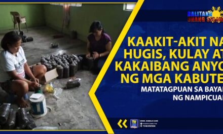 KAAKIT-AKIT NA HUGIS, KULAY AT KAKAIBANG ANYO NG MGA KABUTE, MATATAGPUAN SA BAYAN NG NAMPICUAN