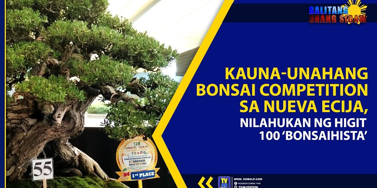 KAUNA-UNAHANG BONSAI COMPETITION SA NUEVA ECIJA, NILAHUKAN NG HIGIT 100 ‘BONSAIHISTA’