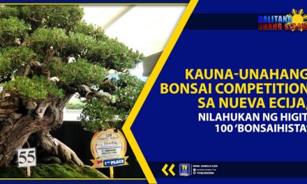 KAUNA-UNAHANG BONSAI COMPETITION SA NUEVA ECIJA, NILAHUKAN NG HIGIT 100 ‘BONSAIHISTA’