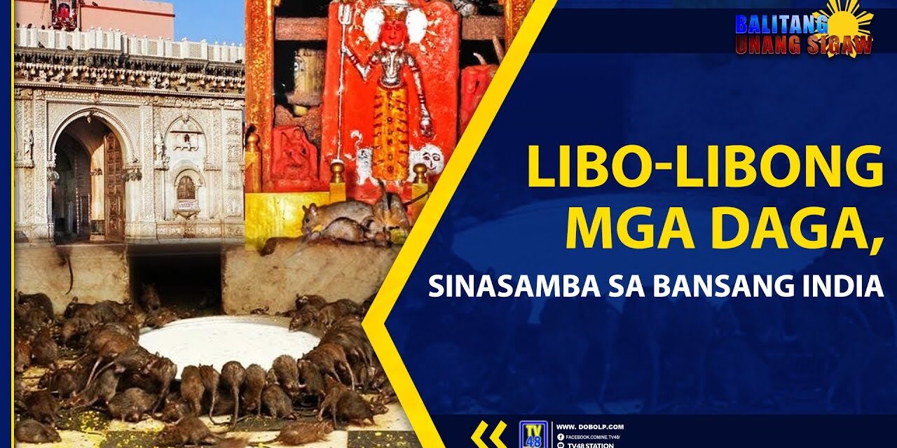 LIBO-LIBONG MGA DAGA, SINASAMBA SA BANSANG INDIA