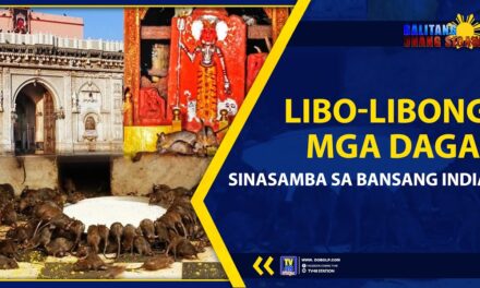 LIBO-LIBONG MGA DAGA, SINASAMBA SA BANSANG INDIA