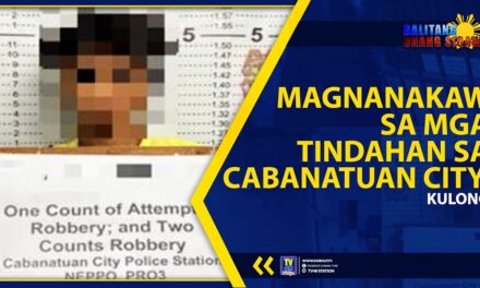 MAGNANAKAW SA MGA TINDAHAN SA CABANATUAN CITY, KULONG