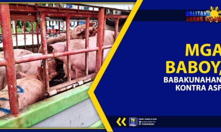 MGA BABOY, BABAKUNAHAN KONTRA ASF