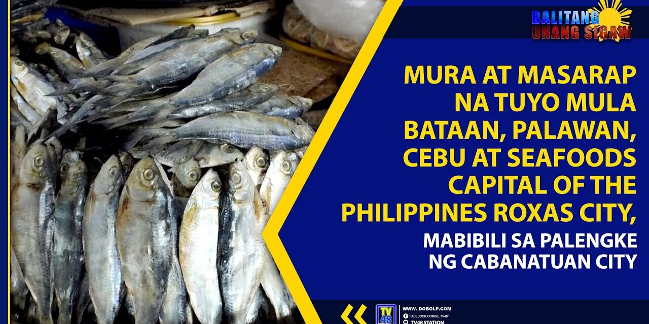 MURA AT MASARAP NA TUYO MULA BATAAN, PALAWAN, CEBU AT SEAFOODS CAPITAL OF THE PHILIPPINES ROXAS CITY