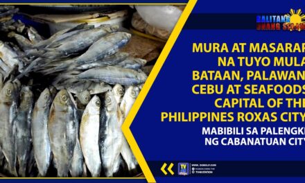 MURA AT MASARAP NA TUYO MULA BATAAN, PALAWAN, CEBU AT SEAFOODS CAPITAL OF THE PHILIPPINES ROXAS CITY