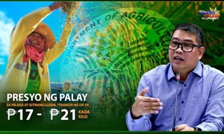 PRESYO NG PALAY SA HILAGA AT GITNANG LUZON, ITINAKDA NG DA SA P17 HANGGANG P21 KADA KILO