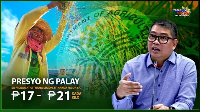 PRESYO NG PALAY SA HILAGA AT GITNANG LUZON, ITINAKDA NG DA SA P17 HANGGANG P21 KADA KILO