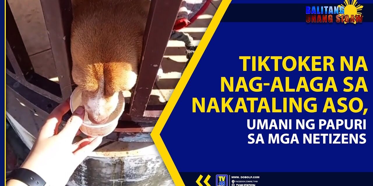 TIKTOKER NA NAG-ALAGA SA NAKATALING ASO, UMANI NG PAPURI SA MGA NETIZENS