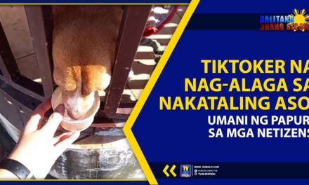 TIKTOKER NA NAG-ALAGA SA NAKATALING ASO, UMANI NG PAPURI SA MGA NETIZENS