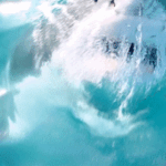 IKAAPAT NA SHARK ATTACK SA AUSTRALIA, YUMANIG SA MGA SURFERS