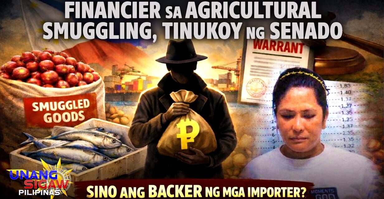 Financier sa Agricultural Smuggling, Tinukoy ng Senado