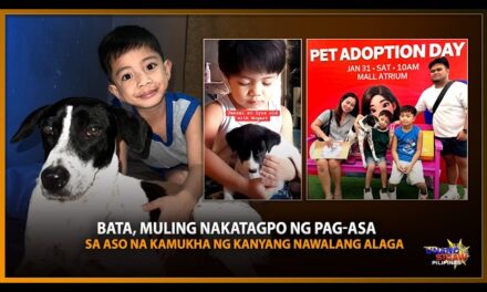 BATA, MULING NAKATAGPO NG PAG-ASA SA ASO NA KAMUKHA NG KANYANG NAWALANG ALAGA