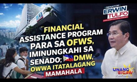 FINANCIAL ASSISTANCE PROGRAM PARA SA OFWS, IMINUNGKAHI SA SENADO; DMW, OWWA ITATALAGANG MAMAHALA