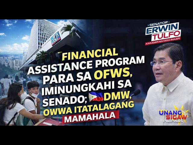 FINANCIAL ASSISTANCE PROGRAM PARA SA OFWS, IMINUNGKAHI SA SENADO; DMW, OWWA ITATALAGANG MAMAHALA