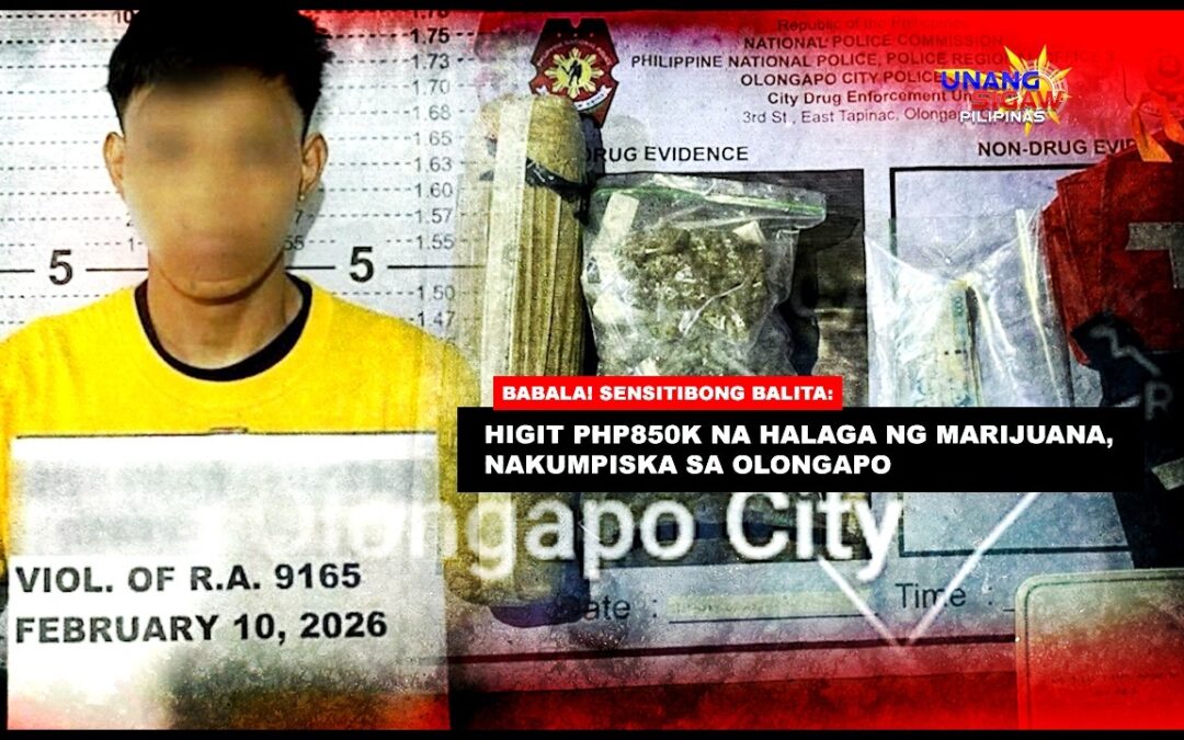 HIGIT PHP850K NA HALAGA NG MARIJUANA, NAKUMPISKA SA OLONGAPO