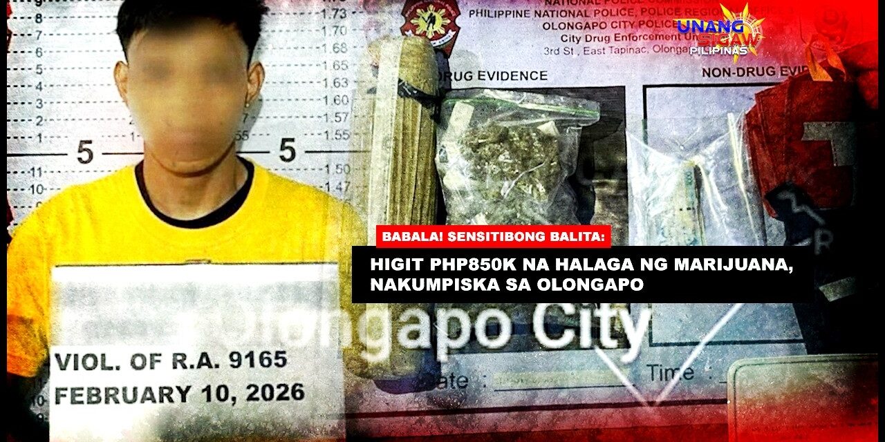 HIGIT PHP850K NA HALAGA NG MARIJUANA, NAKUMPISKA SA OLONGAPO