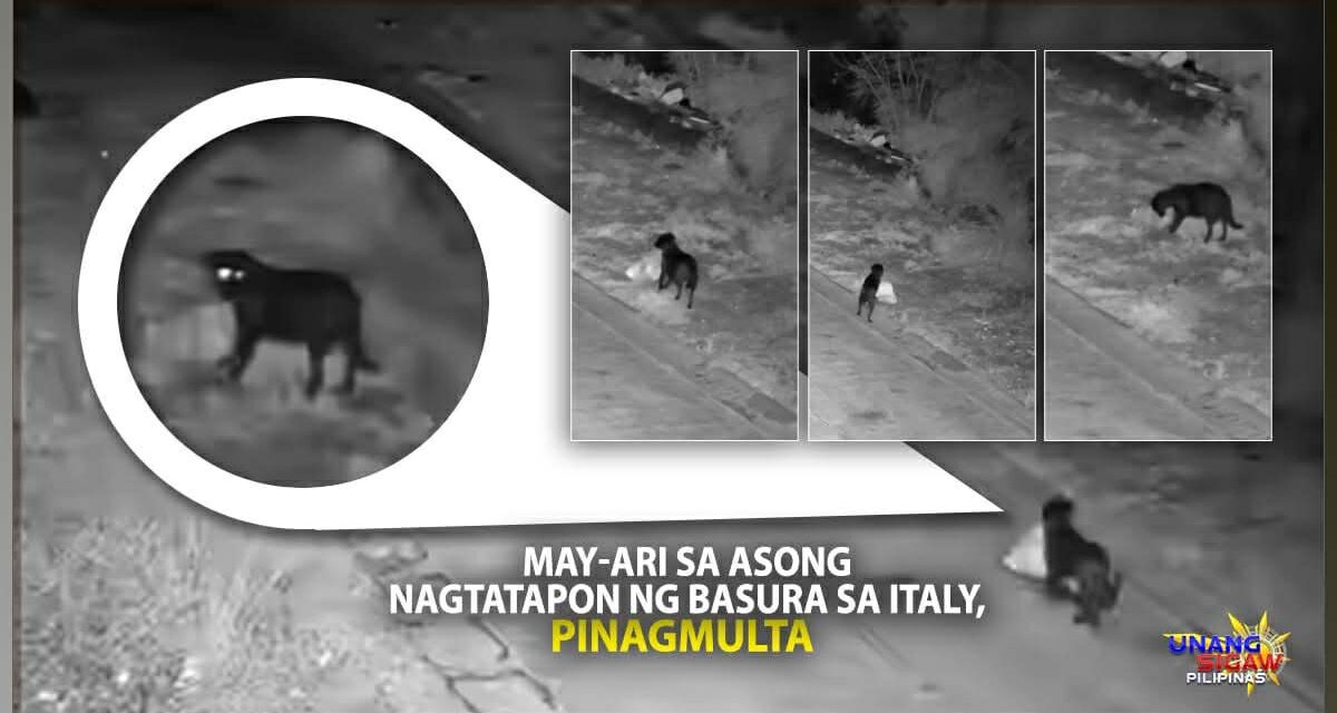 MAY-ARI SA ASONG NAGTATAPON NG BASURA SA ITALY, PINAGMULTA