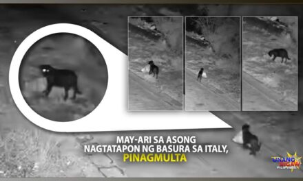 MAY-ARI SA ASONG NAGTATAPON NG BASURA SA ITALY, PINAGMULTA