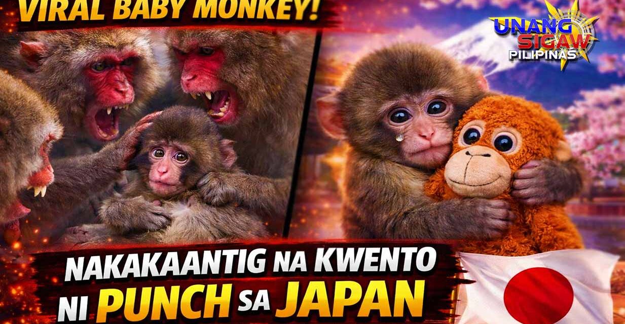 VIRAL BABY MONKEY: NAKAKAANTIG NA KWENTO NI PUNCH SA JAPAN