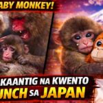 VIRAL BABY MONKEY: NAKAKAANTIG NA KWENTO NI PUNCH SA JAPAN