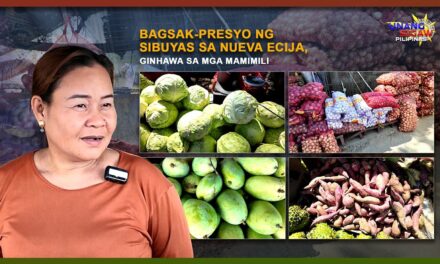 BAGSAK-PRESYO NG SIBUYAS SA NUEVA ECIJA, GINHAWA SA MGA MAMIMILI