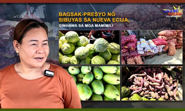 BAGSAK-PRESYO NG SIBUYAS SA NUEVA ECIJA, GINHAWA SA MGA MAMIMILI