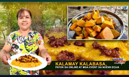 KALAMAY KALABASA, PATOK SA ONLINE AT MGA EVENT SA NUEVA ECIJA
