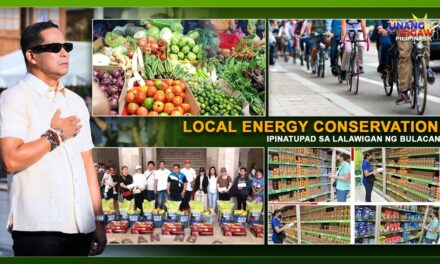 LOCAL ENERGY CONSERVATION, IPINATUPAD SA LALAWIGAN NG BULACAN