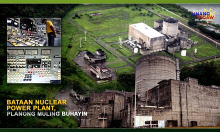 BATAAN NUCLEAR POWER PLANT, PLANONG MULING BUHAYIN