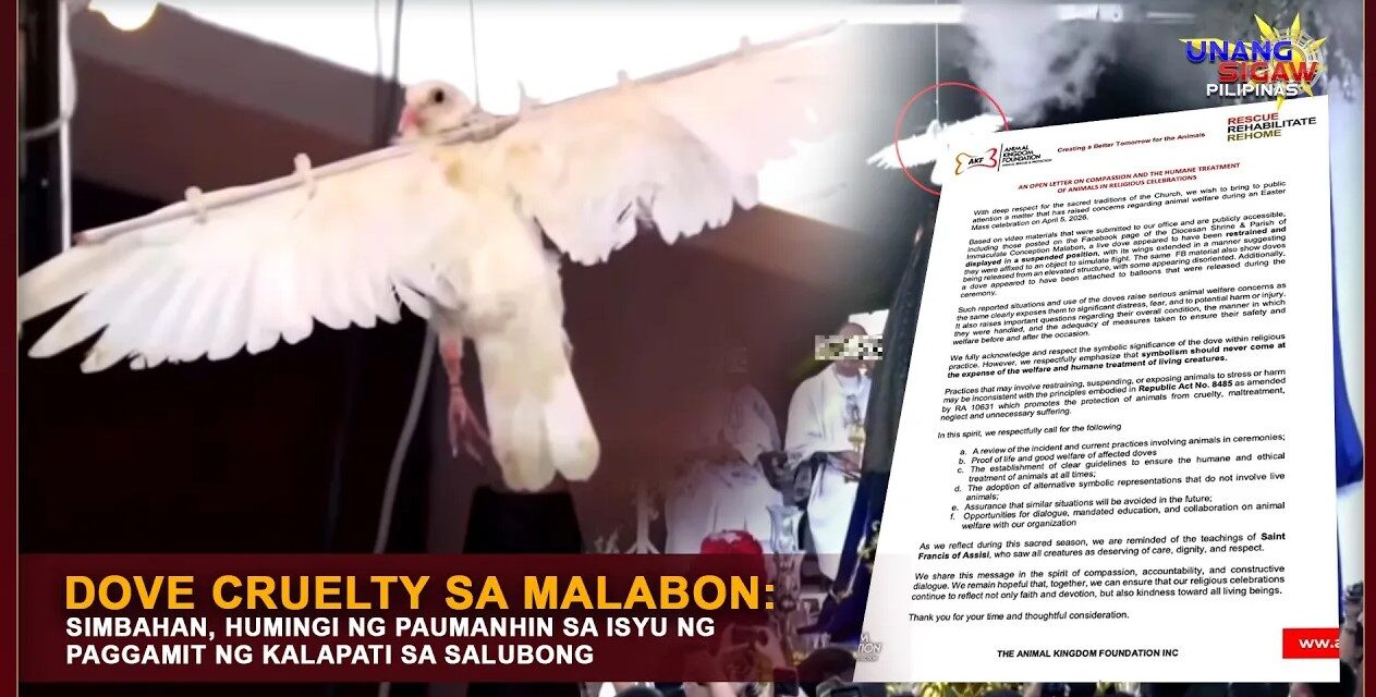 DOVE CRUELTY SA MALABON: SIMBAHAN, HUMINGI NG PAUMANHIN SA ISYU NG PAGGAMIT NG KALAPATI SA SALUBONG