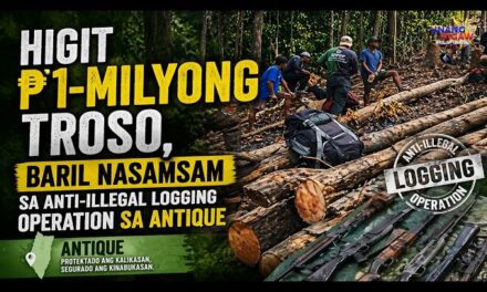 HIGIT ₱1-MILYONG TROSO, BARIL NASAMSAM SA ANTI-ILLEGAL LOGGING OPERATION SA ANTIQUE