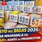 PRESYO NG BIGAS 2026: DA NAGBABALA SA 50% BANTA SA PRODUKSYON