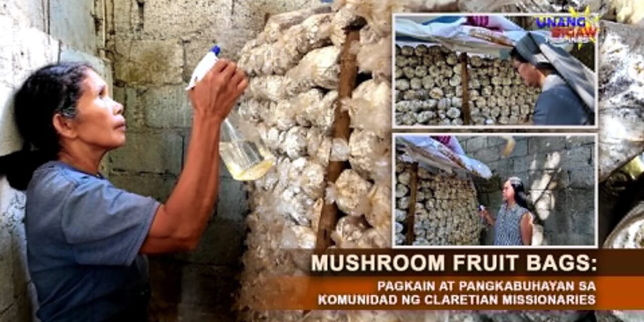 MUSHROOM FRUIT BAGS: PAGKAIN AT PANGKABUHAYAN SA KOMUNIDAD NG CLARETIAN MISSIONARIES