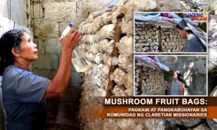 MUSHROOM FRUIT BAGS: PAGKAIN AT PANGKABUHAYAN SA KOMUNIDAD NG CLARETIAN MISSIONARIES
