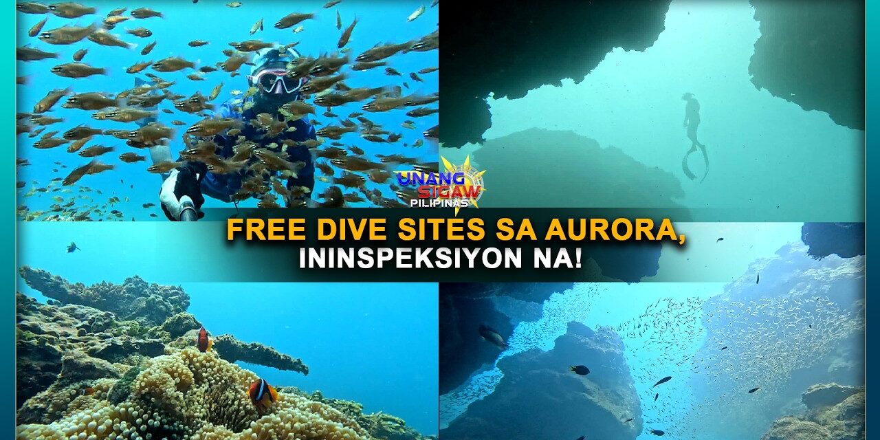 FREE DIVE SITES SA AURORA, ININSPEKSIYON NA!