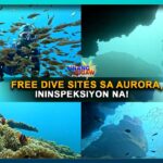 FREE DIVE SITES SA AURORA, ININSPEKSIYON NA!