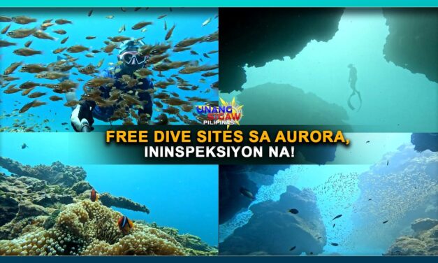 FREE DIVE SITES SA AURORA, ININSPEKSIYON NA!
