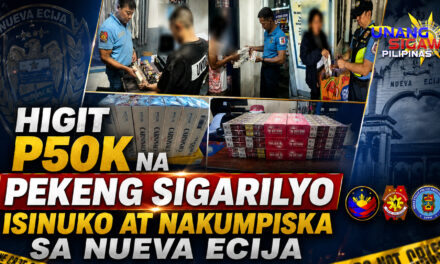 HIGIT P50K NA PEKENG SIGARILYO ISINUKO AT NAKUMPISKA SA NUEVA ECIJA