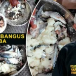 Burong Bangus ng Guimba: Tradisyonal na Pagkain na Patok sa Panlasa